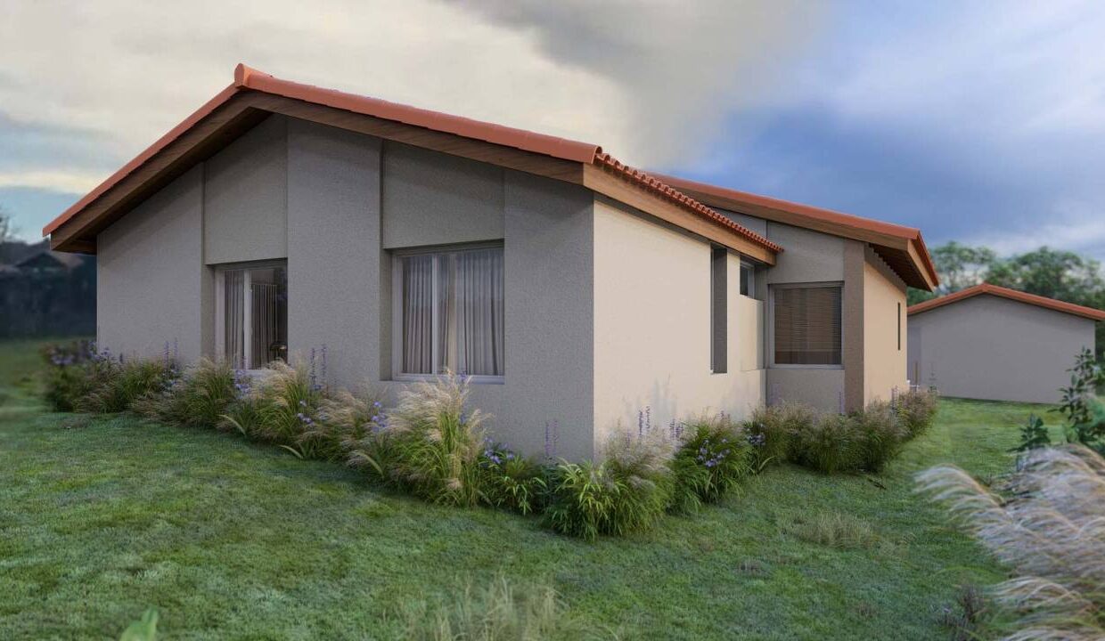 photo_2025-07-31 23.49.35