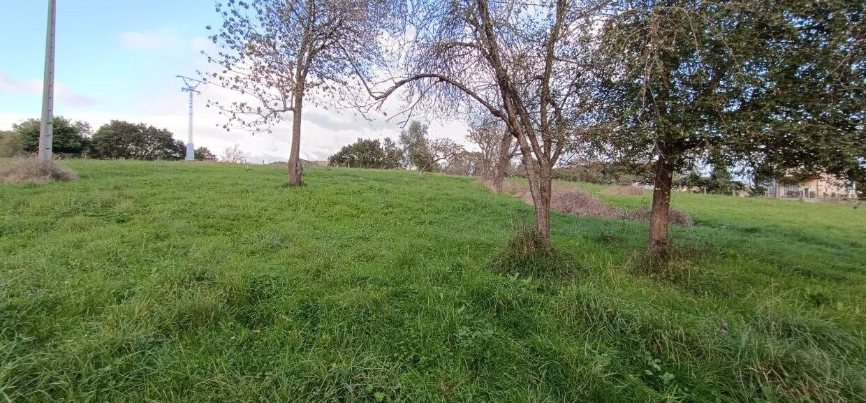 photo_2025-12-02 13.59.01