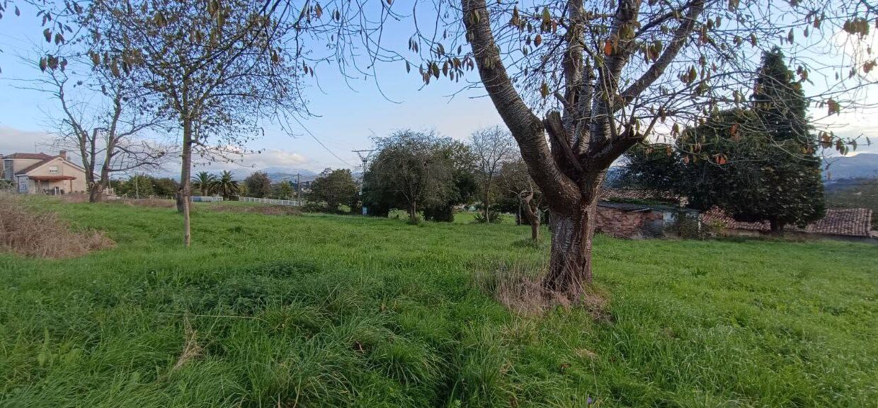 photo_2025-12-02 13.59.07