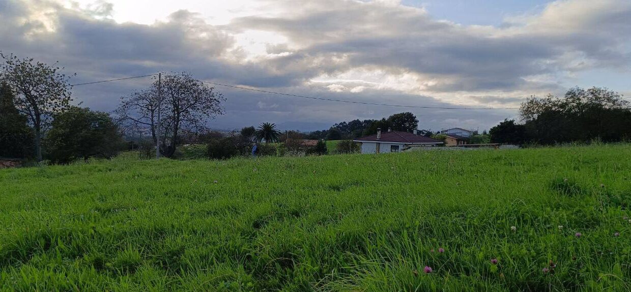 photo_2025-12-02 13.59.13