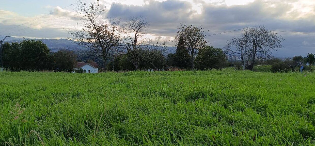 photo_2025-12-02 13.59.15