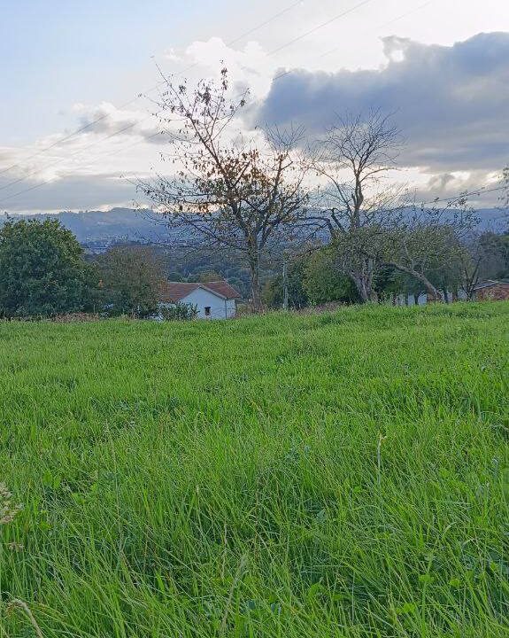 photo_2025-12-02 13.59.18