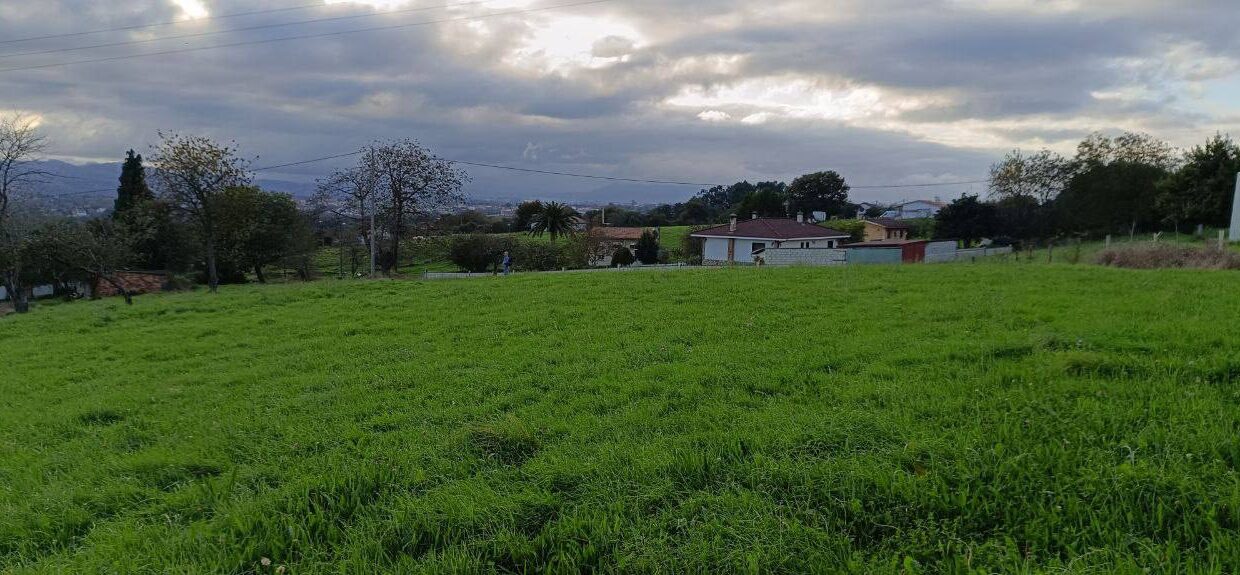 photo_2025-12-02 13.59.24