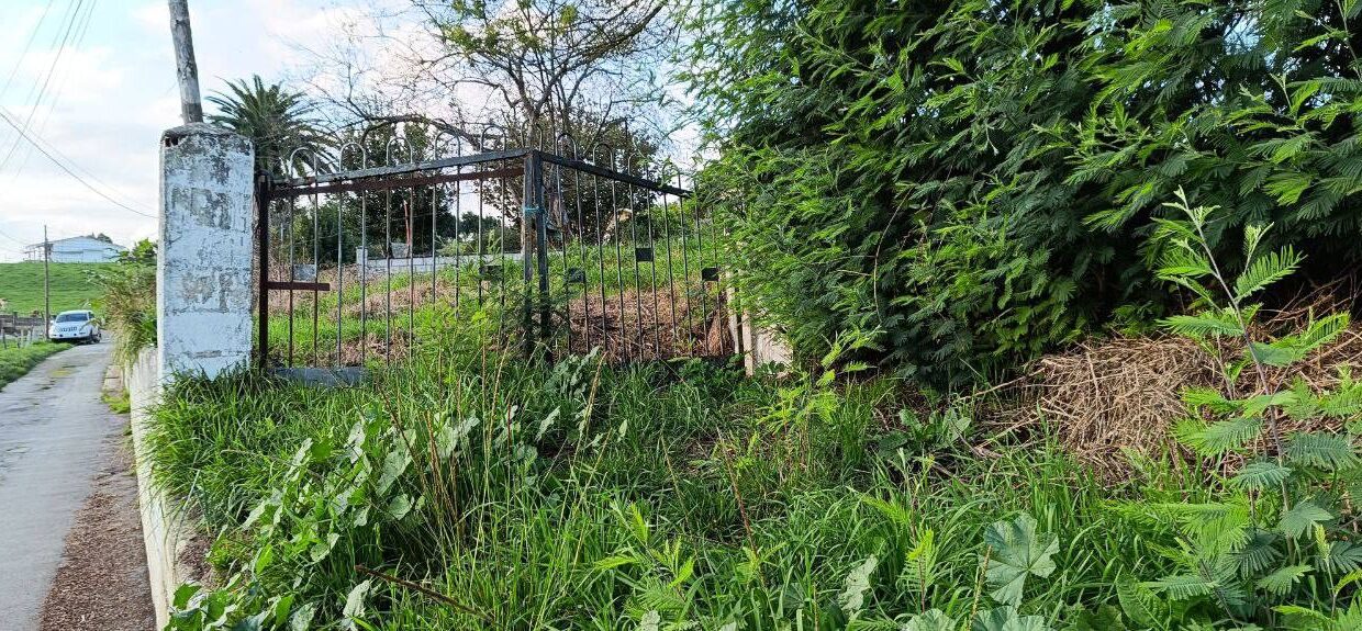 photo_2025-12-02 13.59.28