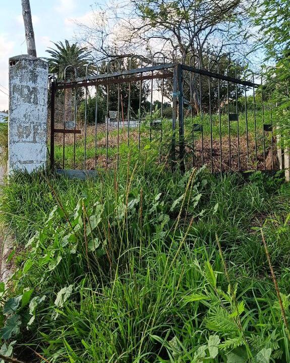 photo_2025-12-02 13.59.30