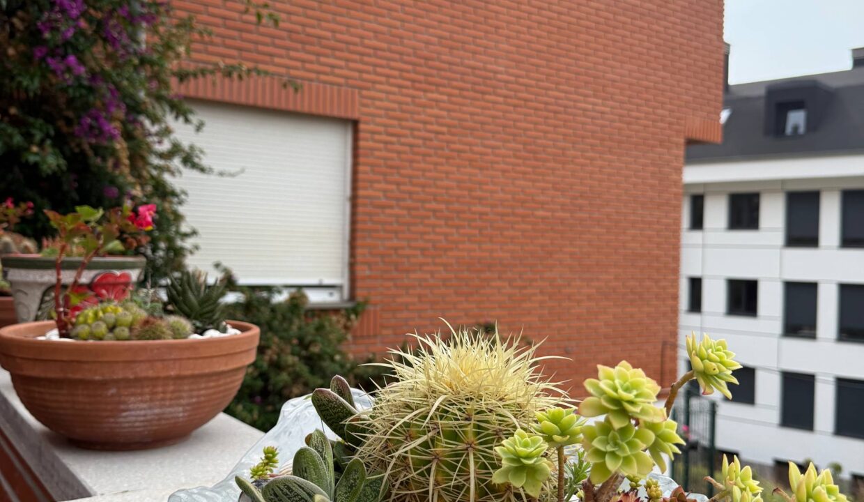 photo_2025-12-02 14.59.09