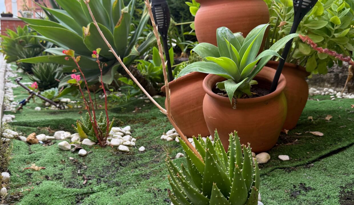 photo_2025-12-02 14.59.20