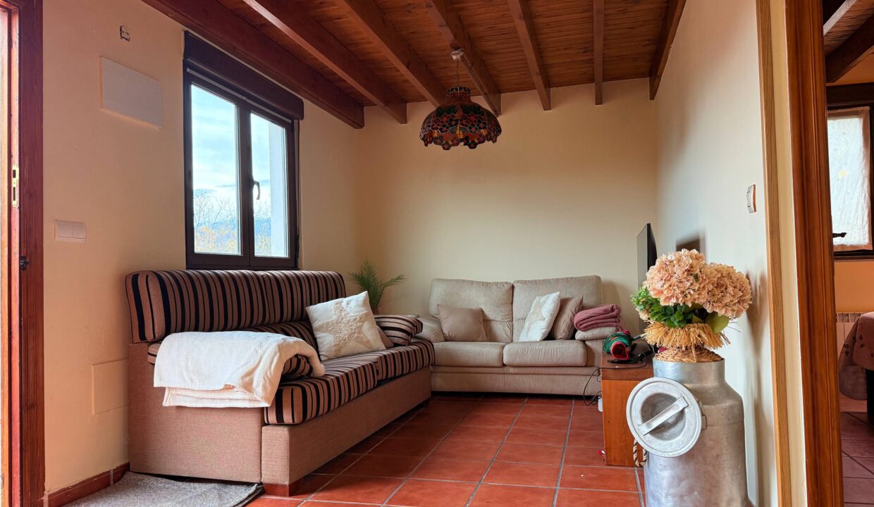 photo_5332637962178596703_w