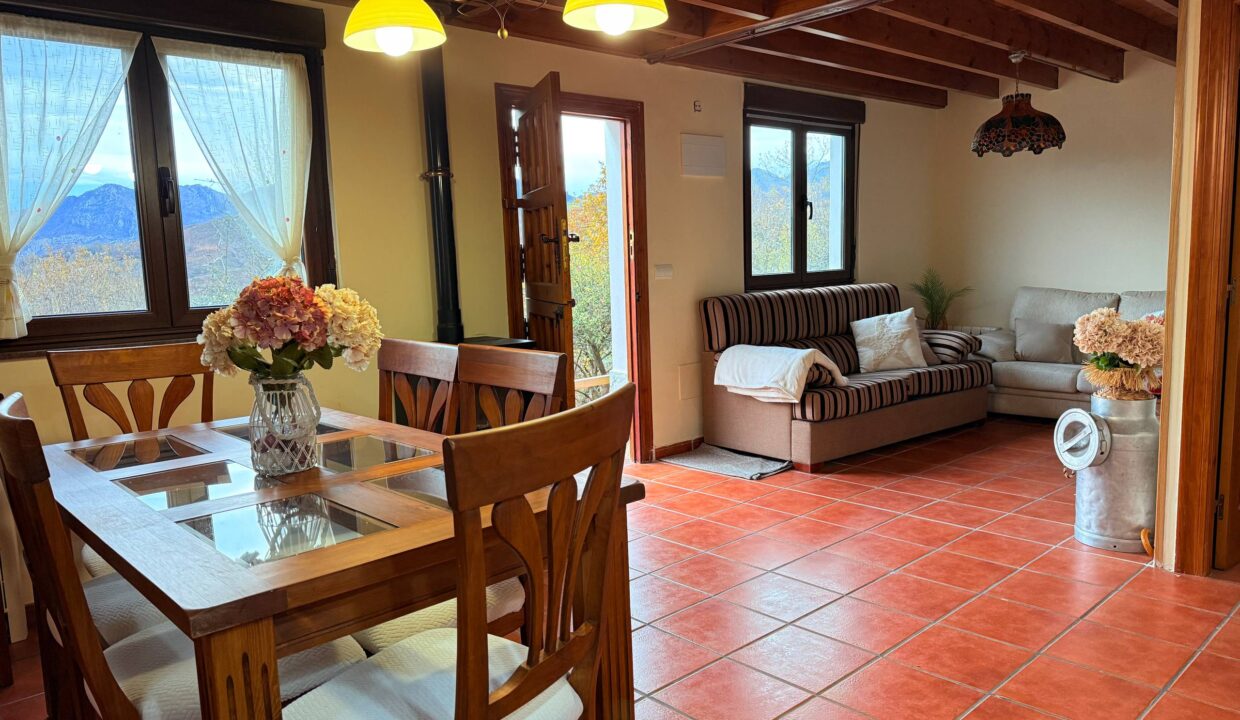 photo_5332637962178596716_w