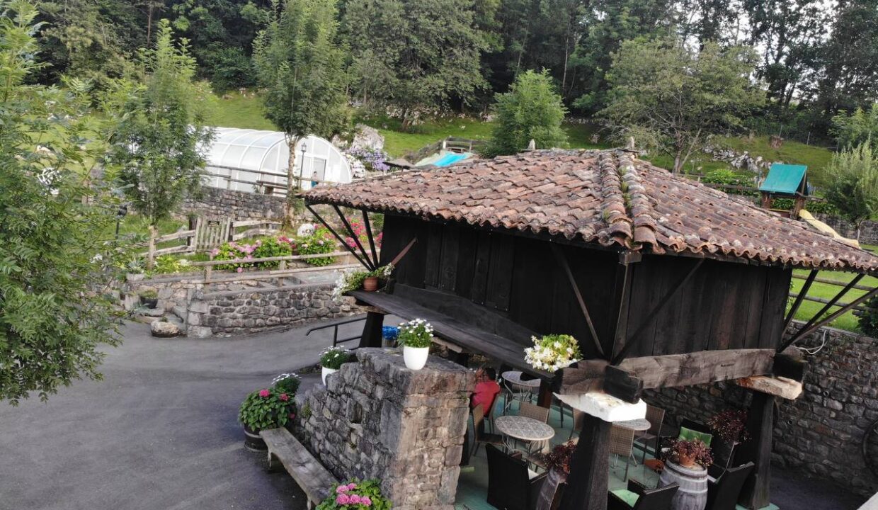 photo_5267516057420167120_y