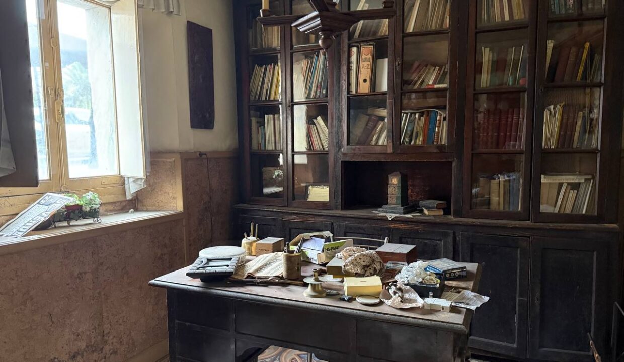 photo_5188304649889903298_y