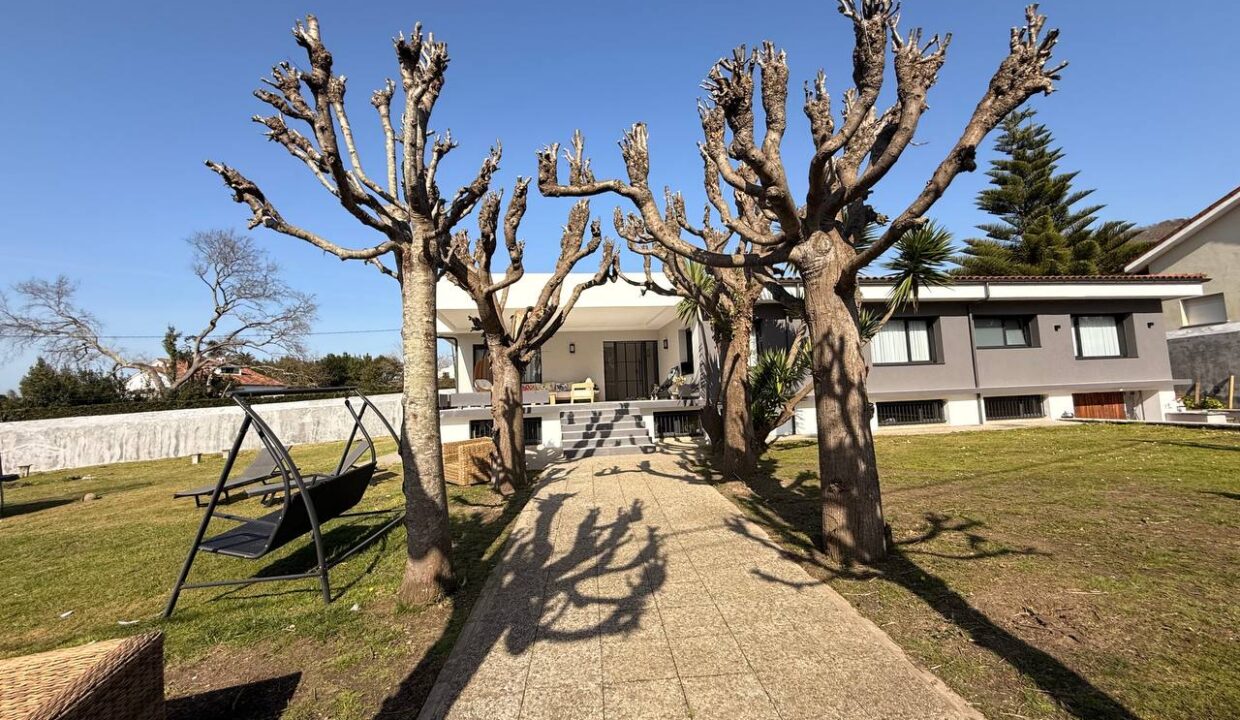 photo_5267192985688937484_y (1)