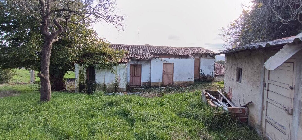 photo_5472140694677223318_y