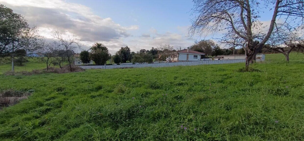 photo_5472140694677223320_y