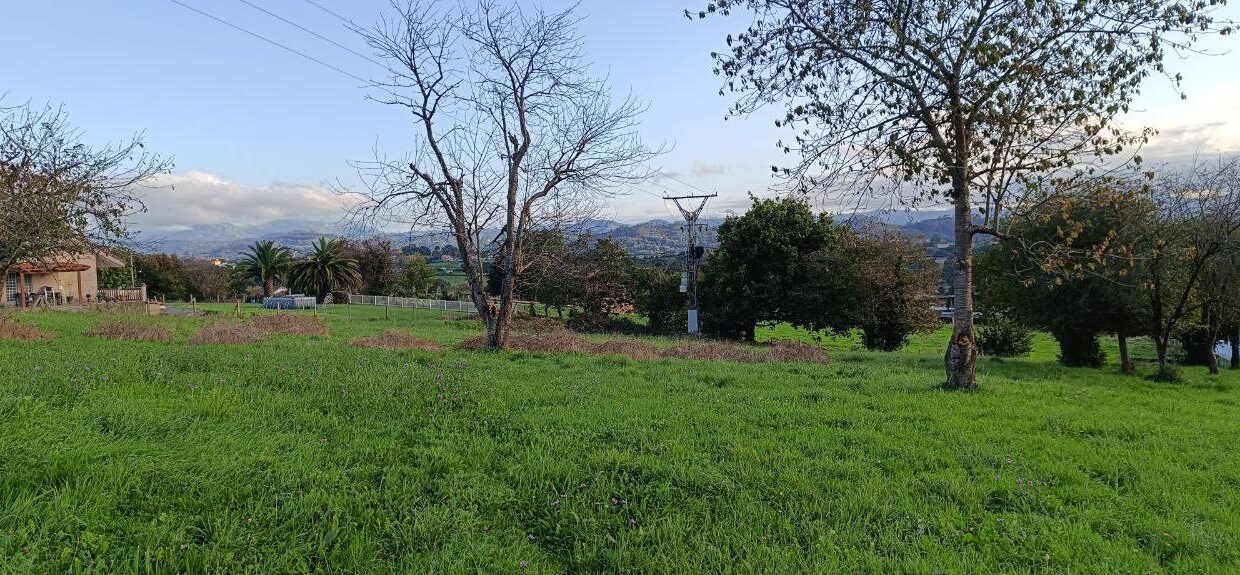 photo_5472140694677223322_y