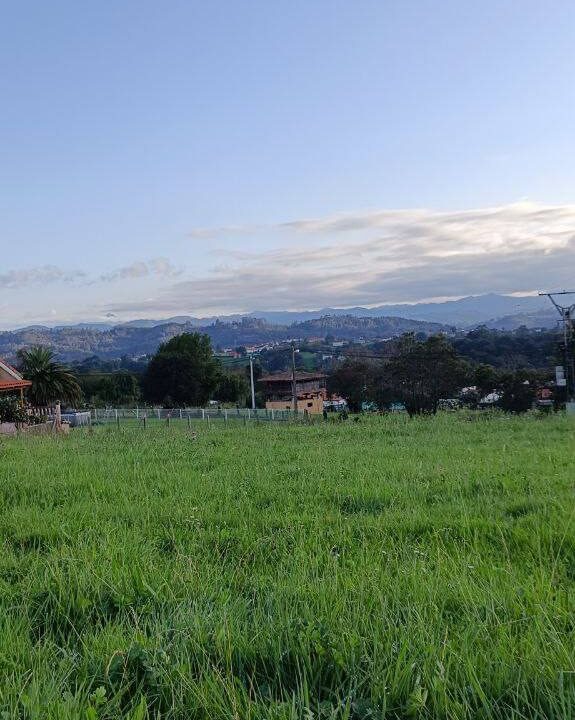 photo_5472140694677223324_y