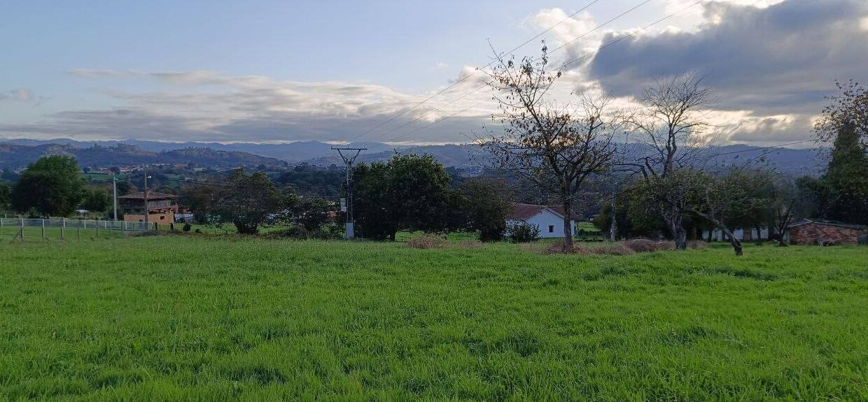 photo_5474283226227930480_y