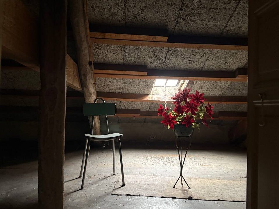 photo_5474575636191375644_y