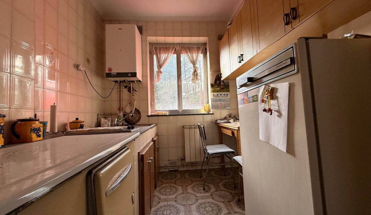 photo_5933986843076529937_y