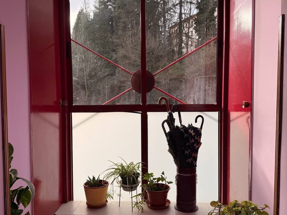 photo_5933986843076529944_y