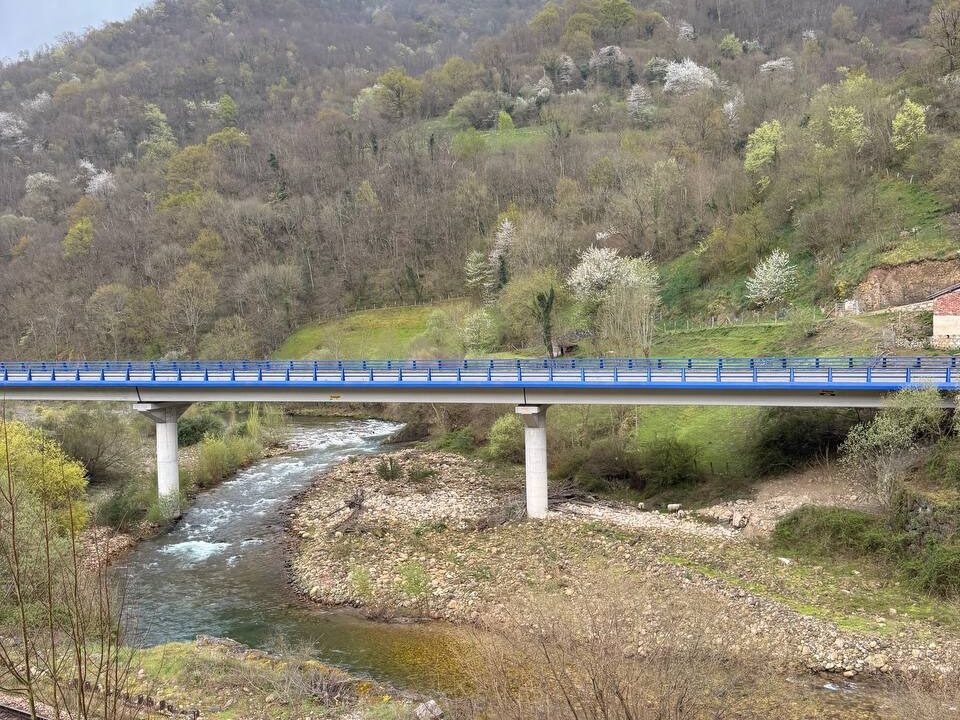 photo_5933986843076529964_y