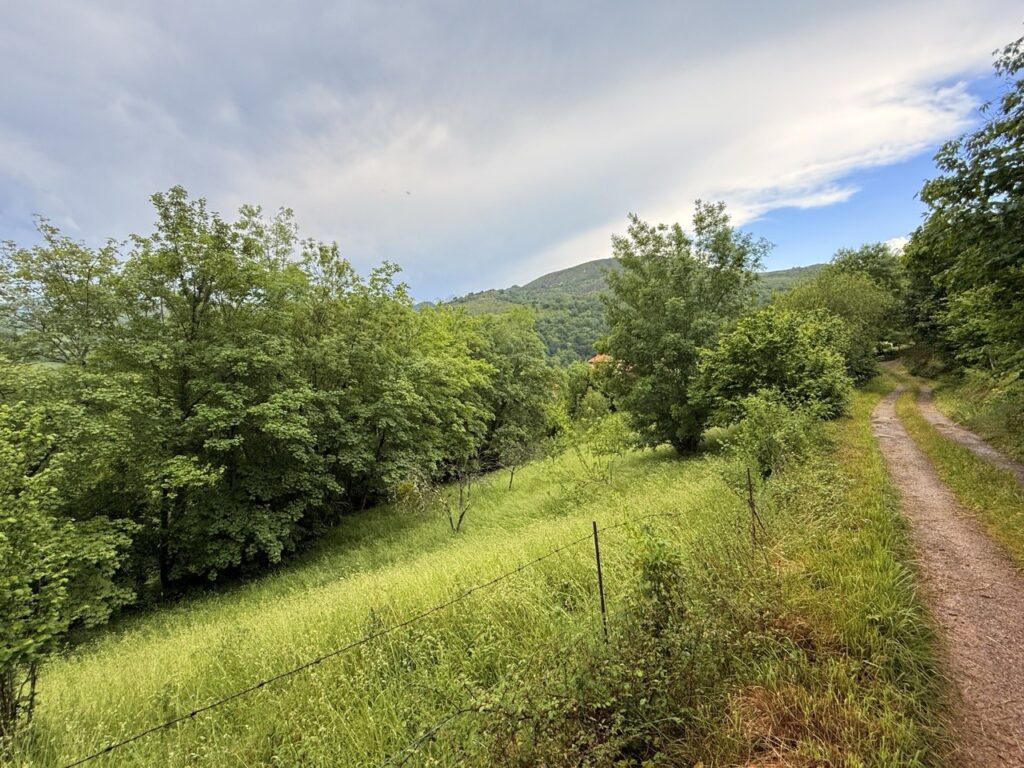 UNIQUE OPPORTUNITY IN TELENA, CANGAS DE ONÍS! (photo 1 of 9)