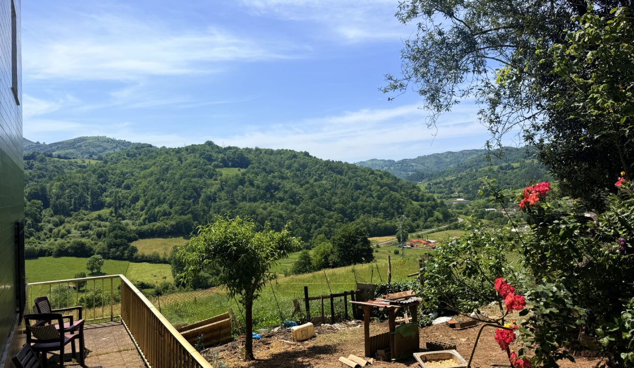 IMG_0133