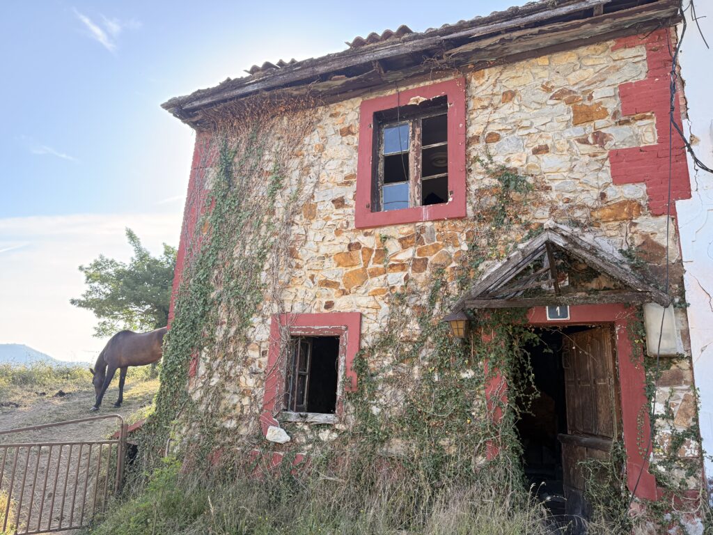 СЕЛЬСКИЙ ДОМ РЕФОРМИРУЕТСЯ В БИМЕНЕСЕ (фото 1 из 13)