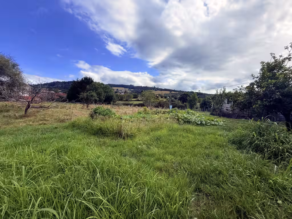 Land for sale in Villaviciosa (photo 1 of 1)